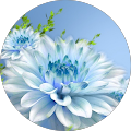 Tiziana K. profile picture